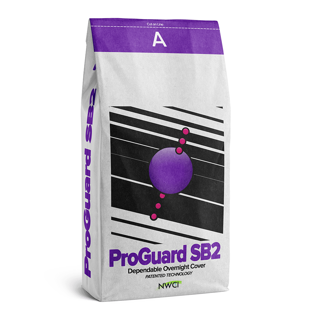 ProGuard SB2 product illustration